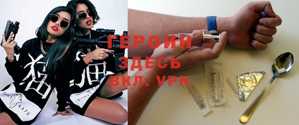 сатива Беломорск