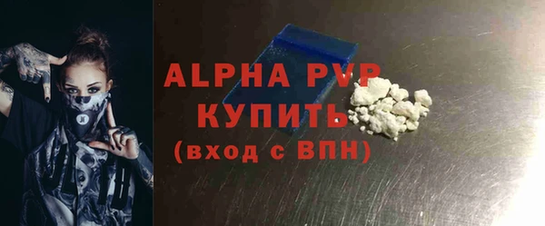 PSILOCYBIN Белокуриха