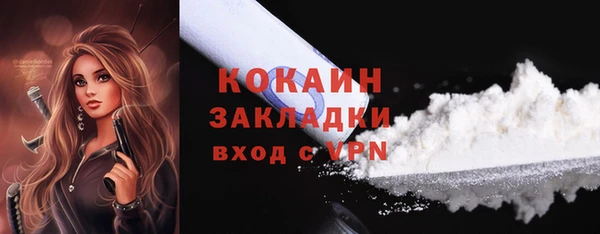 PSILOCYBIN Белокуриха