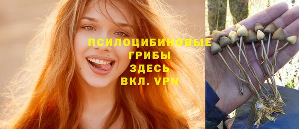 PSILOCYBIN Белокуриха