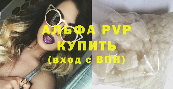 PSILOCYBIN Белокуриха