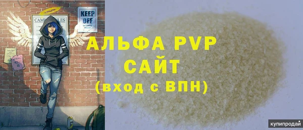 сатива Беломорск